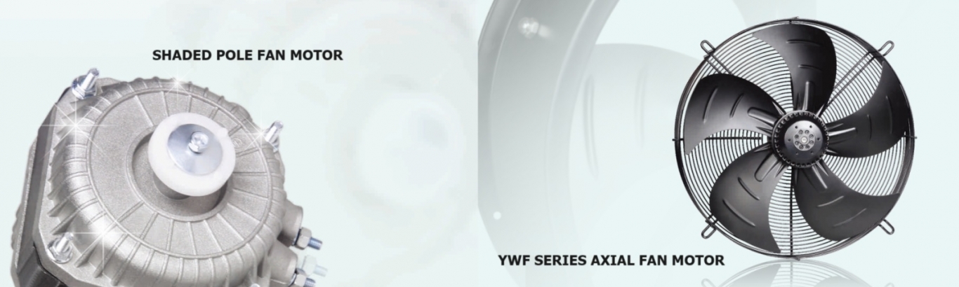 Fan Motor